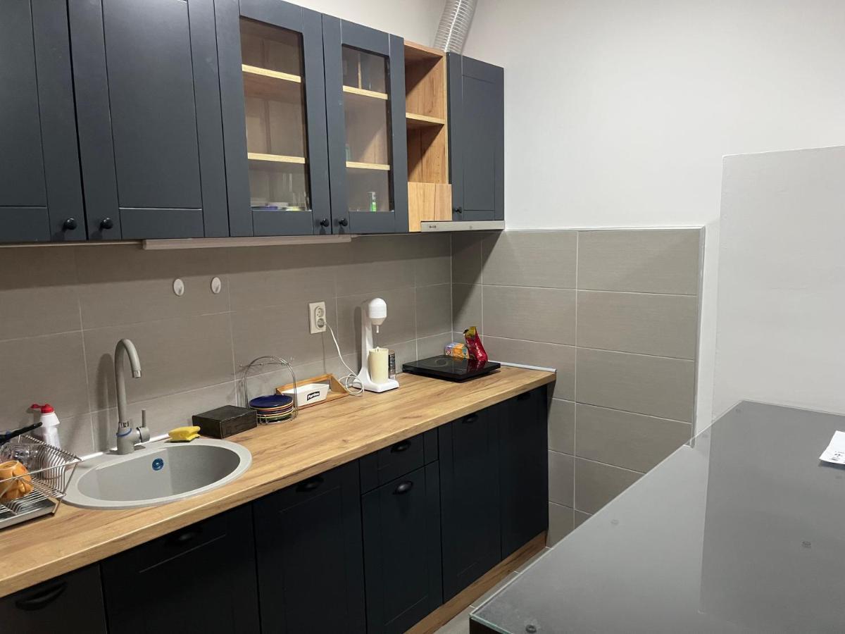 Ferienwohnung Penthouse Užice Exterior foto